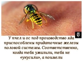 Скрины из соцсетей
