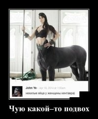 Скрины из соцсетей