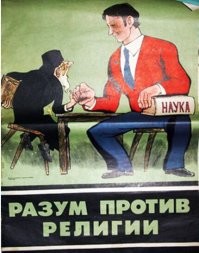 20+ любопытных кадров из мира насекомых