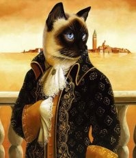 10 лучших фотографий кошек всех времен и народов