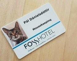 Судя по отчеству "дочь Даниэля" этот кот - всё-таки кошка.