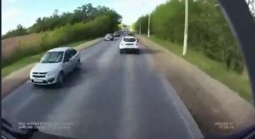 Пропустил утят — получил удар под зад: ДТП с грузовиком под Липецком