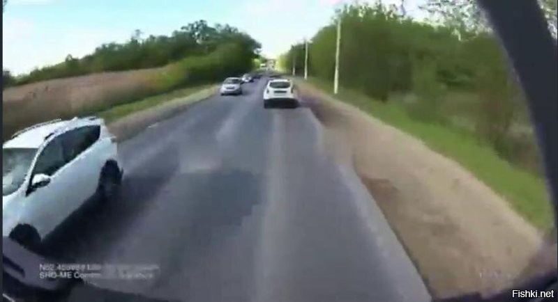 Пропустил утят — получил удар под зад: ДТП с грузовиком под Липецком