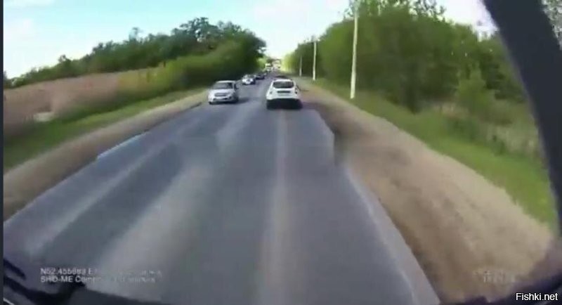 Пропустил утят — получил удар под зад: ДТП с грузовиком под Липецком