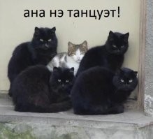 Всё вразнобой