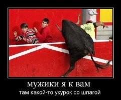 Во время родео бык сбежал с арены, ранив нескольких зрителей