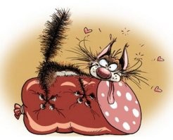 Жадина: забавная реакция льва на кучу мяса