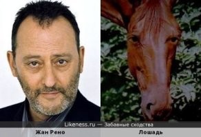 На общую тему