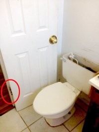 Действительно идиот