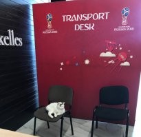15 животных, у которых есть крутая работа