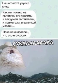 Эволюционное извращение: удивительные факты о клещах