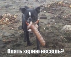 Выстрел догнал свою жертву через два десятка лет