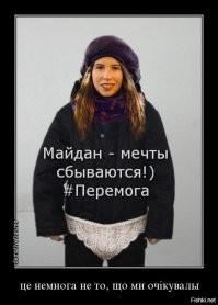 Домайданились. В 14-м - мечты сбываются. В 22-м - всё пропало.