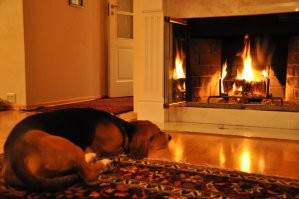 Прикольные комментарии и картинки из социальных сетей