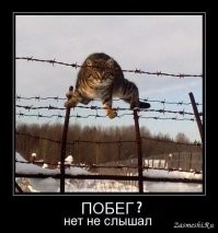 Калейдоскоп позитива. Выпуск 139