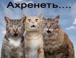 С добрым утром!