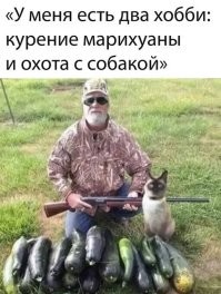 Если следовать своим хобби в том порядке, как написано, то все нормально