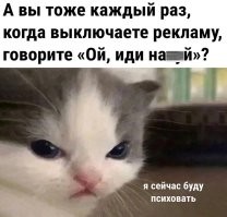 ооо это тупо я - хотя и у меня везде стоит ublock на браузерах, а на телефоне youtube vanced без рекламы, но иногда я могу попасть куда то где реклама не блокируется и в силу непривычки меня это сильно бесит

по тому что реклама у них откровенно тупая - особенно у букмекеров, я вообще как не посмотрю на неё начинаю считать что те кто играет на букмекерских ставках просто с iq как комнатная температура - по тому что повестись на такую тупую рекламу может только столь же тупой человек