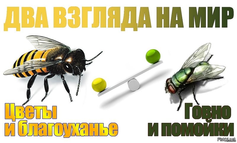 О чем мультик "Симпсоны"
