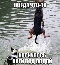 Вот так надо!