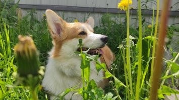 С добрым утром!