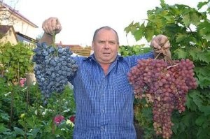 Демотиваторы: отличное настроение и прекрасное развлечение