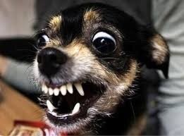 Не ищите здесь смысл. Здесь в основном маразм