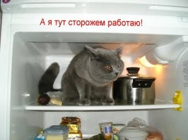 На общую тему