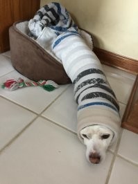 ИЯ Креведко:)