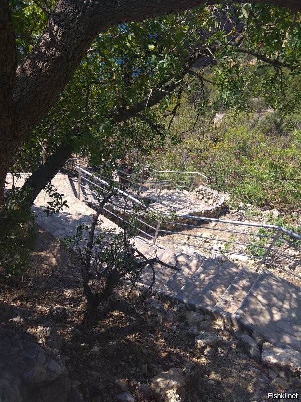 Что за наброс говна на Фиолент? 
Вот фотки 2020, площадку наверху и спуск к морю облагородили, да мемориал Пушкину в плачевном состоянии, но остальное то делают.