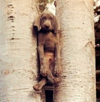 Ну и чё?
