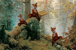 Приехали, конечная...