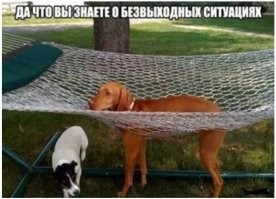 Кое что знаем