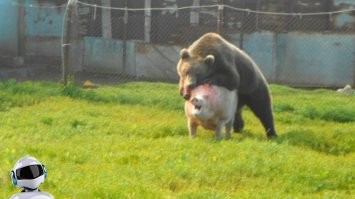 10 воссоединений знаменитых актёров