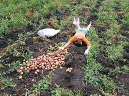 Звучит, как угроза...