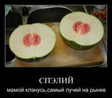 Видно в понедельник их мама родила: пост о невезучих