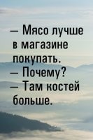 Какой мед выберут пчелы — домашний или магазинный