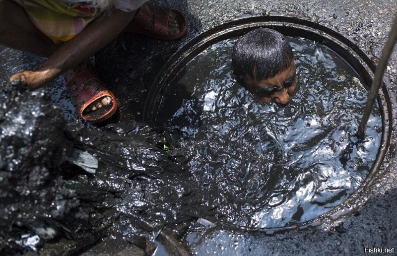 Индия
Чистильщик канализации.