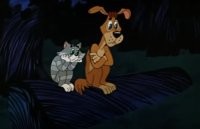 Какой мед выберут пчелы — домашний или магазинный