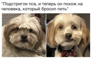 14 наглядных сравнений, которые показывают разницу даже круче, чем фото "до и после"