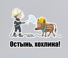 Оскорбленные поляки рисуют мемы в ответ на разрешение правительства собирать в лесах хворост