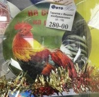 Двое ребят из Махачкалы устроили бой с нокаутом из-за поцелуя