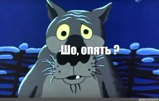 Ночное веселье ёжика