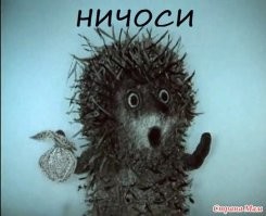 Ночное веселье ёжика