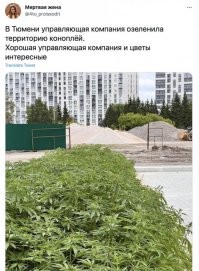 Красиво, но бывает и креативней...