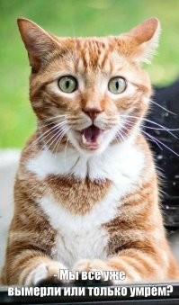 "Шерстяные" против...