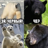 Эти хамы еще те