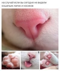 20 важных, нужных и познавательных  шпаргалок, которые могут пригодиться в жизни