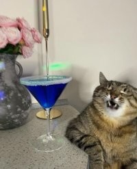 На общую тему