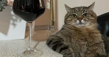 Руки прочь от Степана! Он вне конкуренции)))